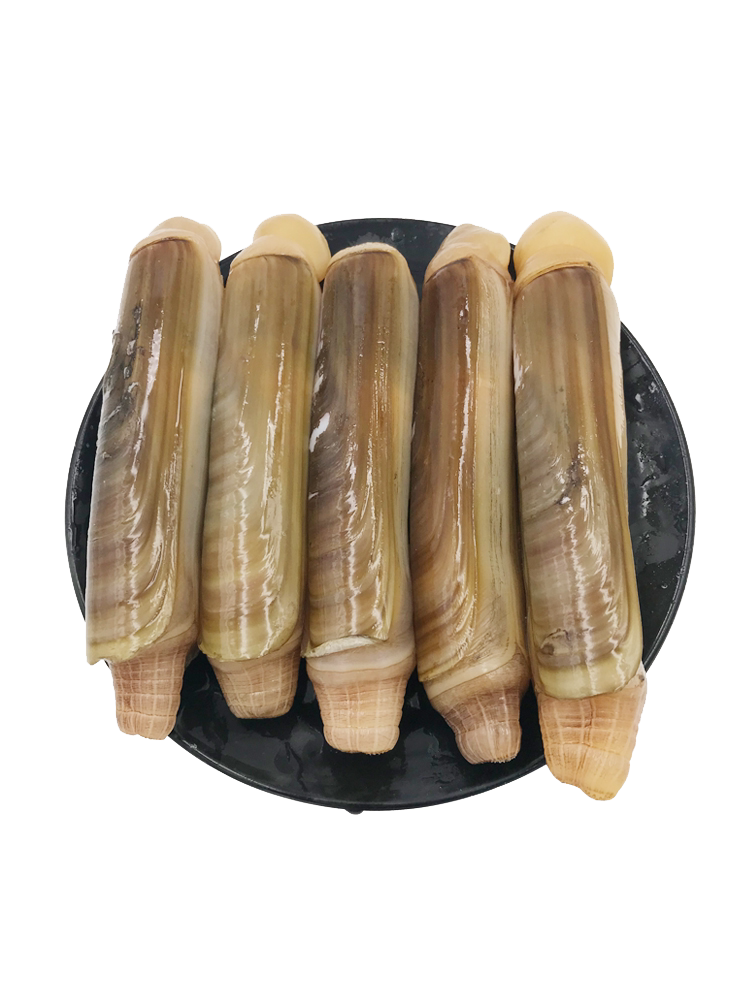 顺丰水产海鲜贝类青岛500克无沙大号竹节王竹节蛏子