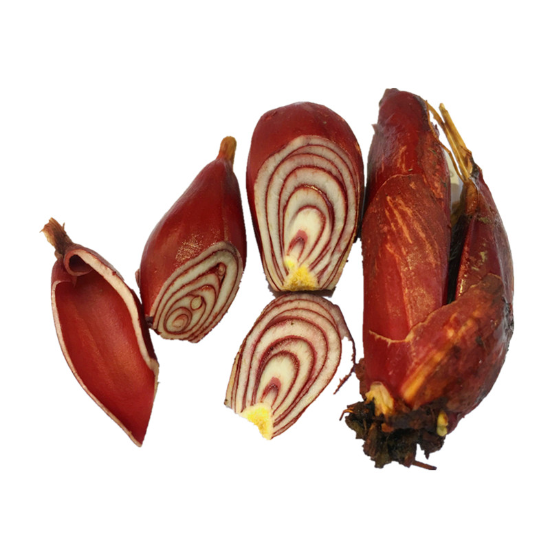 用品 > 正文摘要              中药材红葱