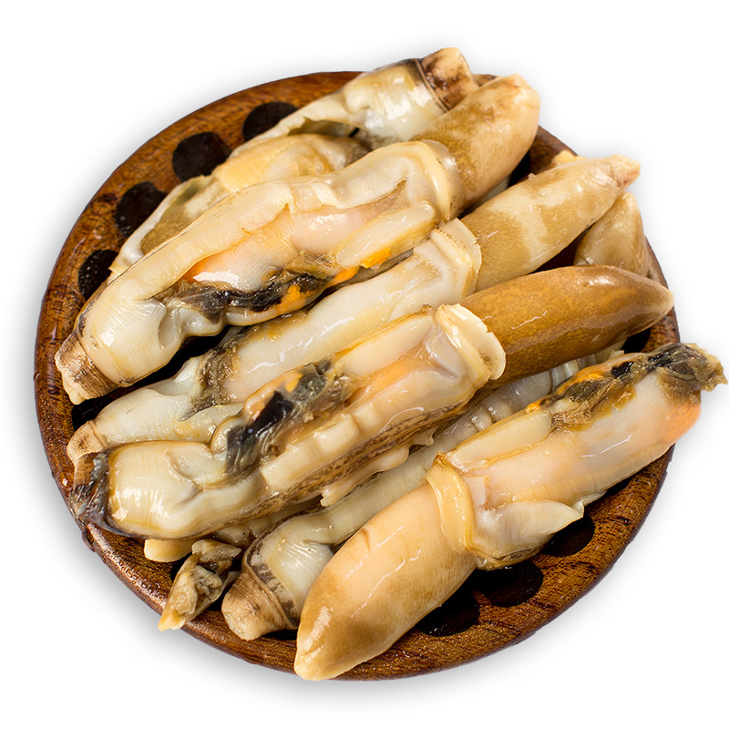 新鲜竹节圣子包邮王新鲜蛏王肉竹1000g蛏子