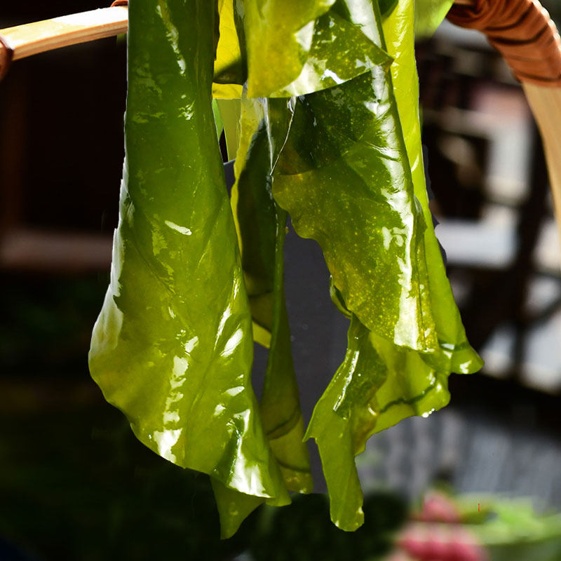 韩式0脂肪海带裙2500g_热品库_性价比 省钱购