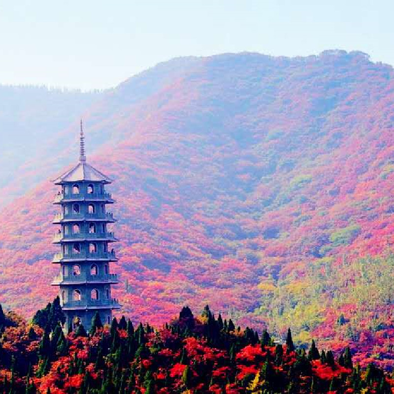 红叶谷大门票红叶谷景区门票山东济南红叶谷