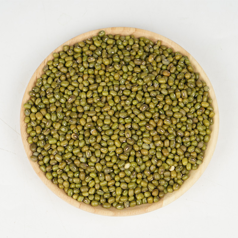 绿豆2021新货农家自产新鲜大粒豆芽粥汤杂粮绿豆