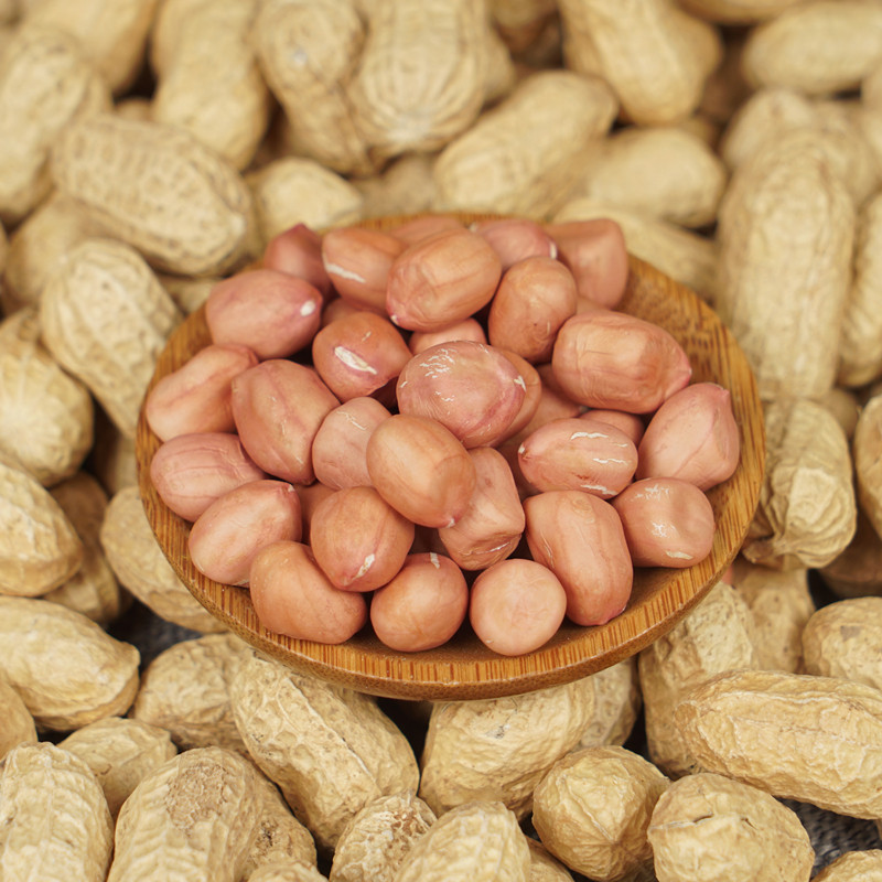 20年带壳花生米新货大粒新鲜干粉高产花生