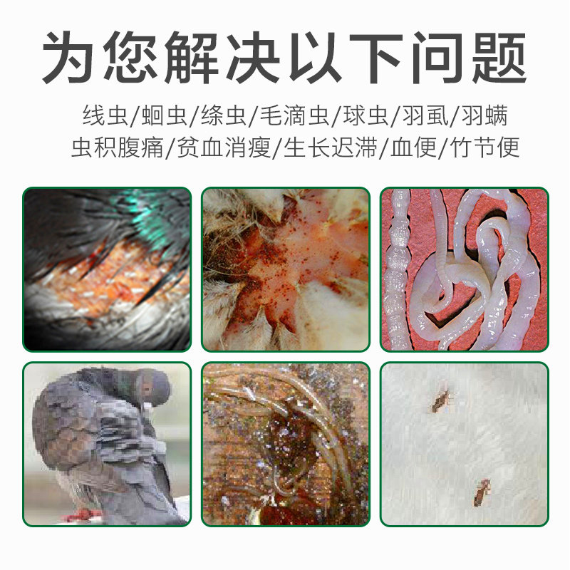 鸽子驱虫专用用药格莱德耐翔佰虫净全清理体内医疗用品