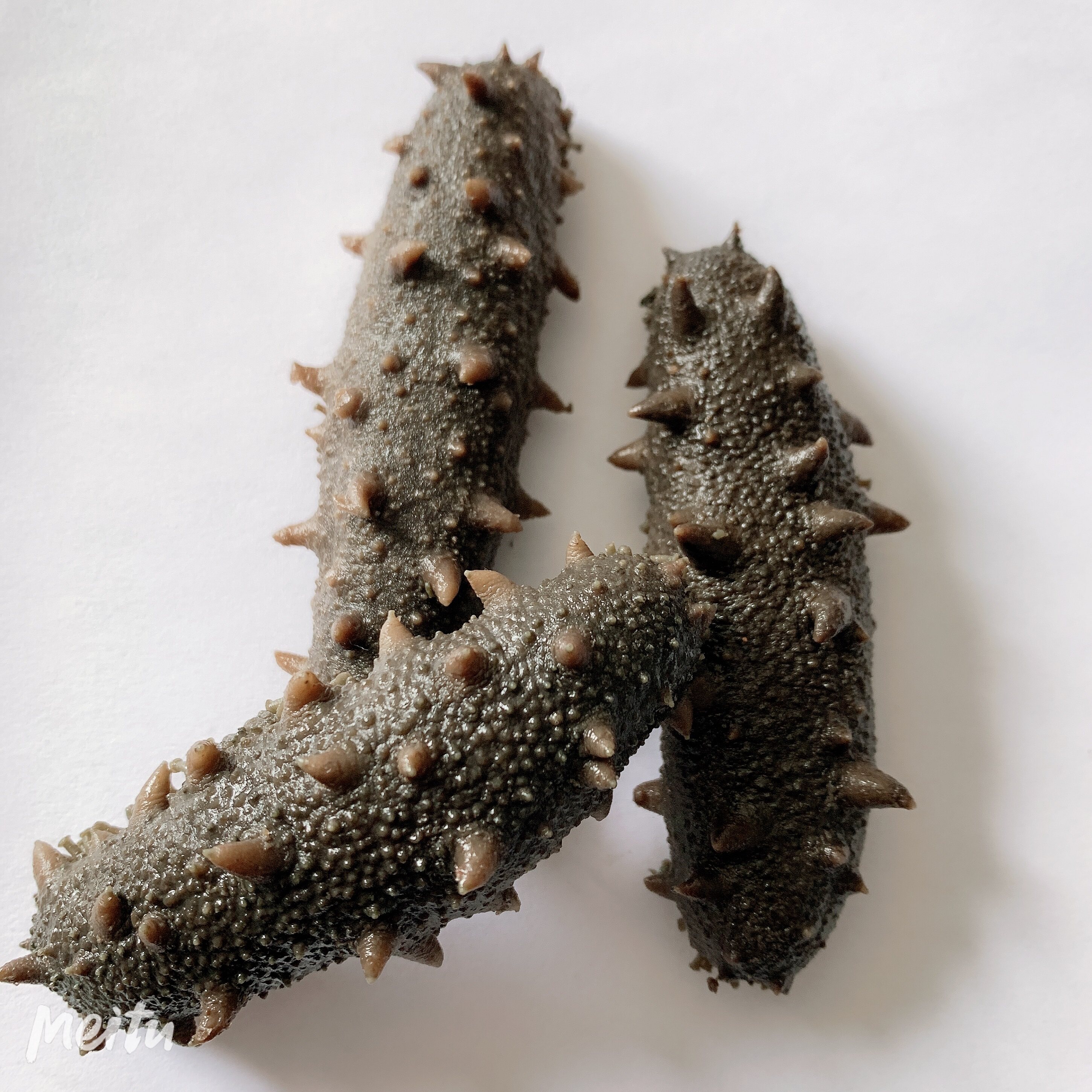 海参霞浦特产盐渍深海干货新鲜半干拉干盐刺海参