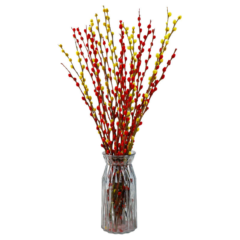 十支装送灯笼水培银柳真花干花