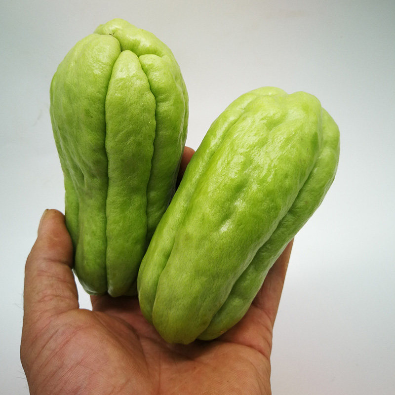 云南脆嫩佛手5斤新鲜蔬菜洋瓜捧瓜丰收窝瓜其它