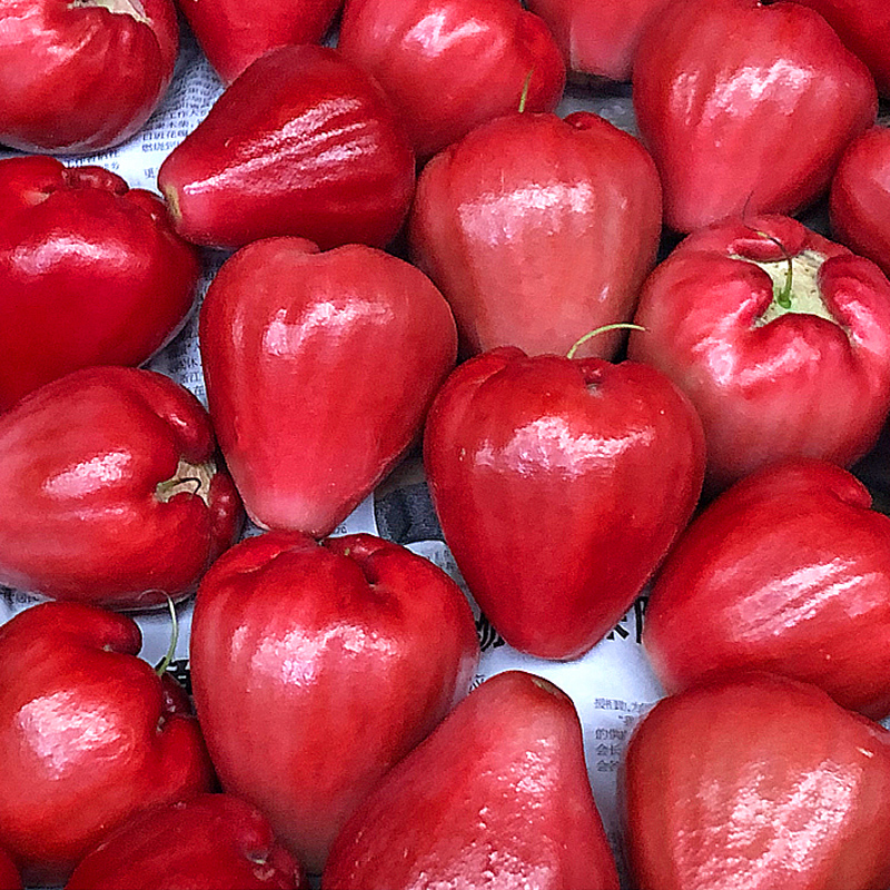 海南黑珍珠莲雾5斤新鲜现摘当季整箱雾莲孕妇莲雾