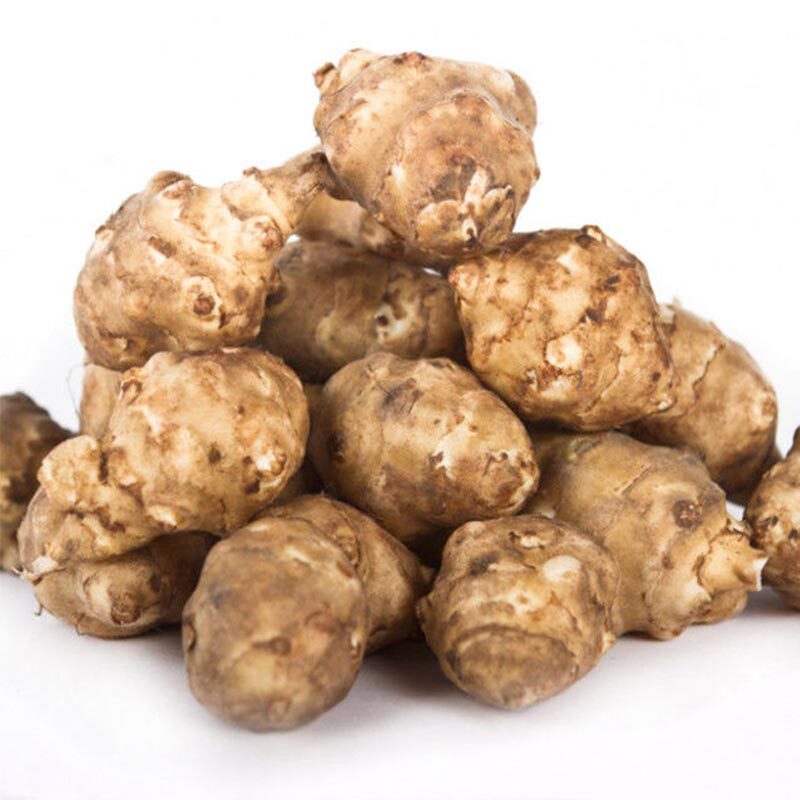 现挖新鲜洋姜10斤菊芋不辣野生鬼子姜阳姜生姜其它