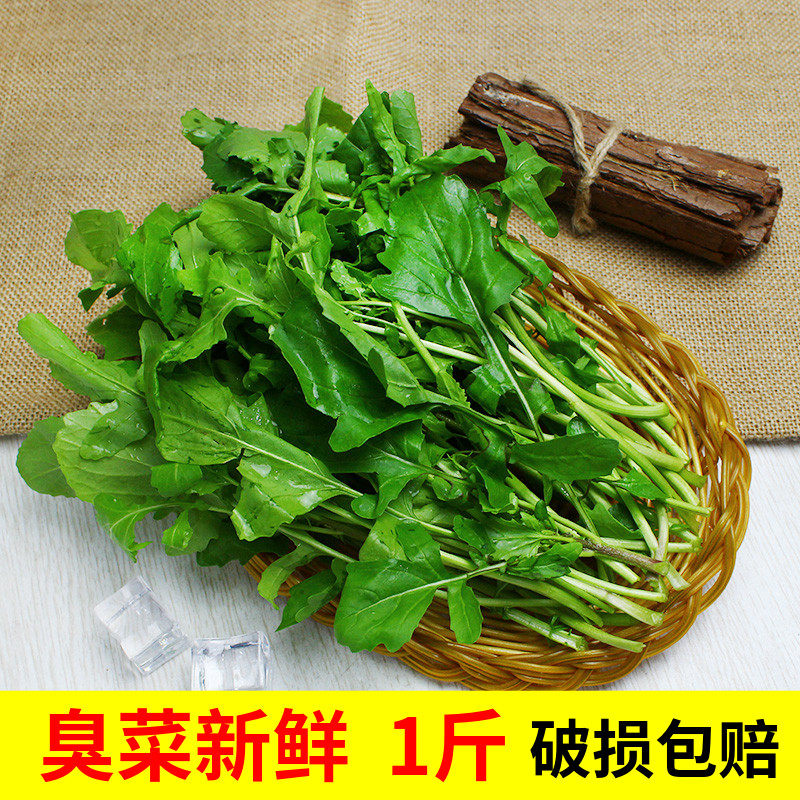 新鲜臭菜东北包邮500g农家自种蔬菜酱菜叶菜类