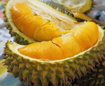 榴莲四季泰国果苗芒果南方树苗果树枕头金枕头果树