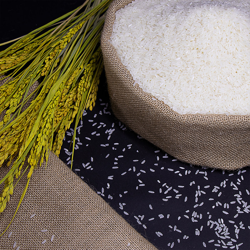 奉新大米天工江西特产5kg10斤真空大米