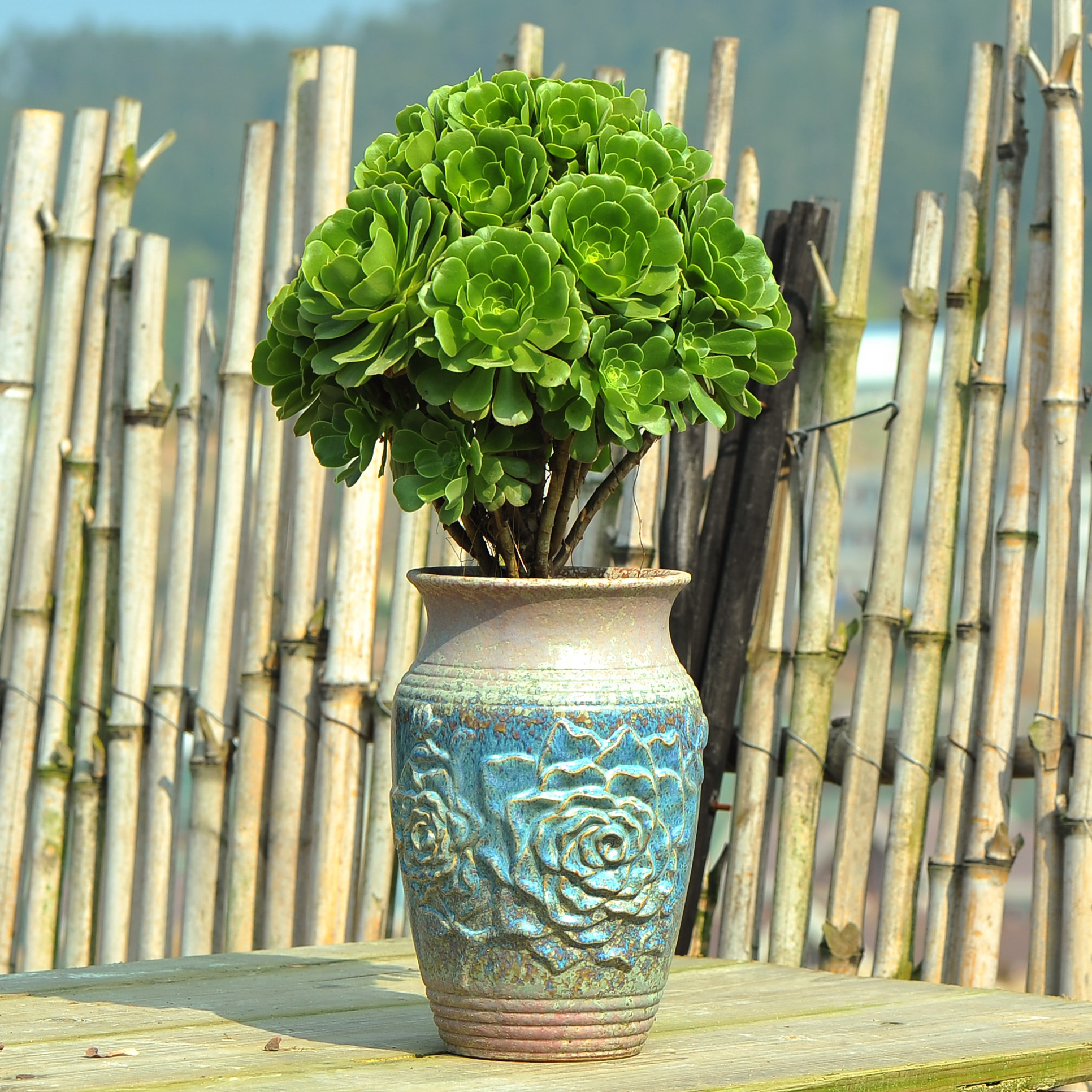 花盆特大号老桩陶瓷多肉粗陶创意法师陶罐兰花花盆