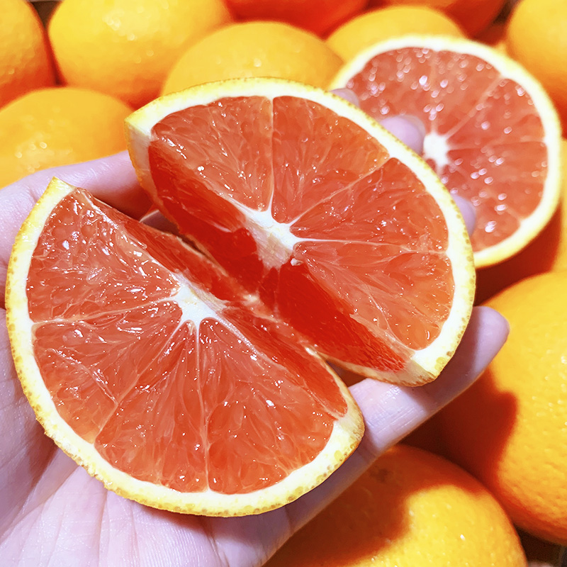 美国新奇士进口血橙3110红心新鲜水果橙子橙