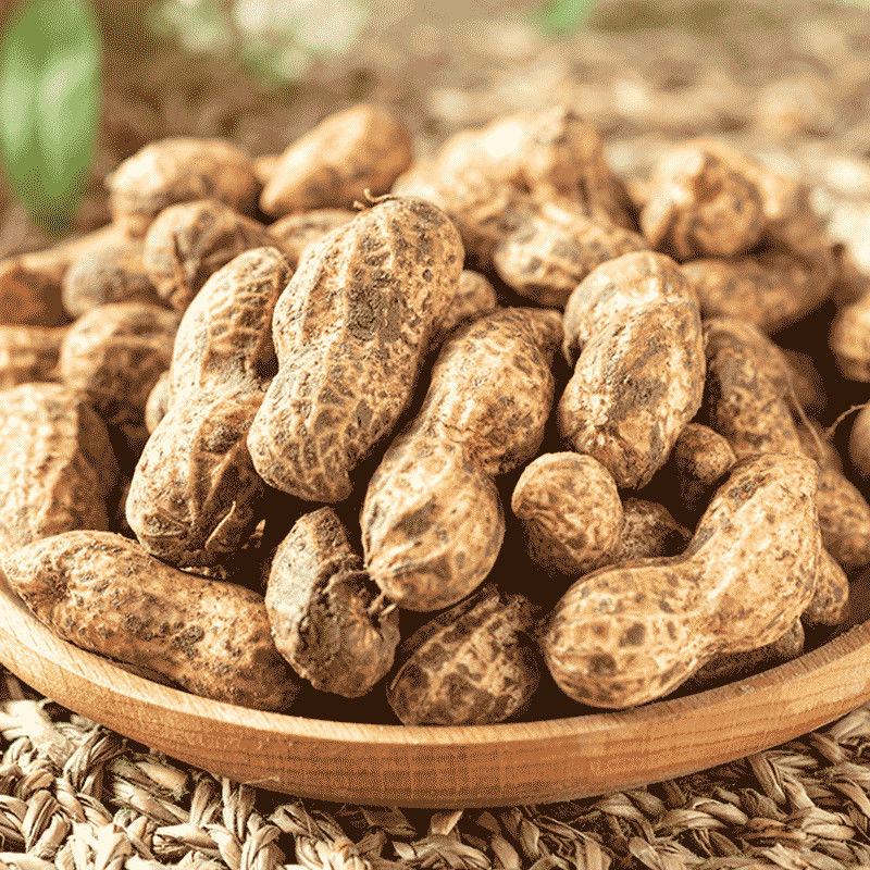 花生2021年新鲜现挖现发农家未漂白带壳生生粉花生