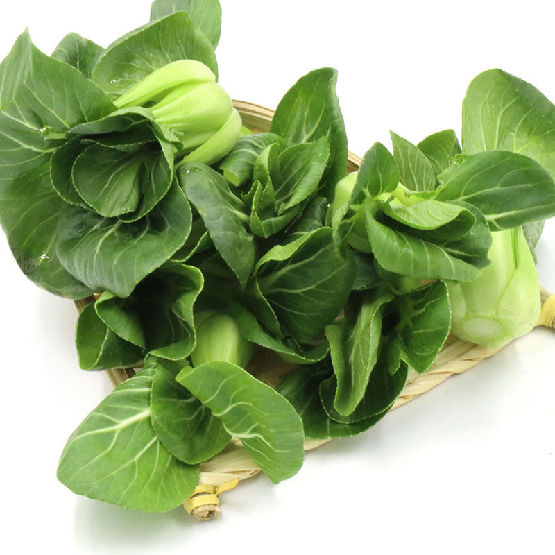 蔬菜新鲜上海山东当季青菜菜叶菜类1斤现摘叶菜类