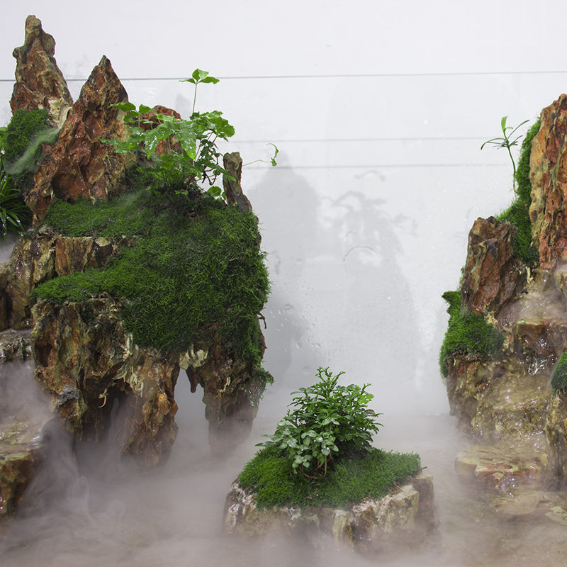 景观生态雨林造景水陆缸微假山大型鱼缸水族生态瓶