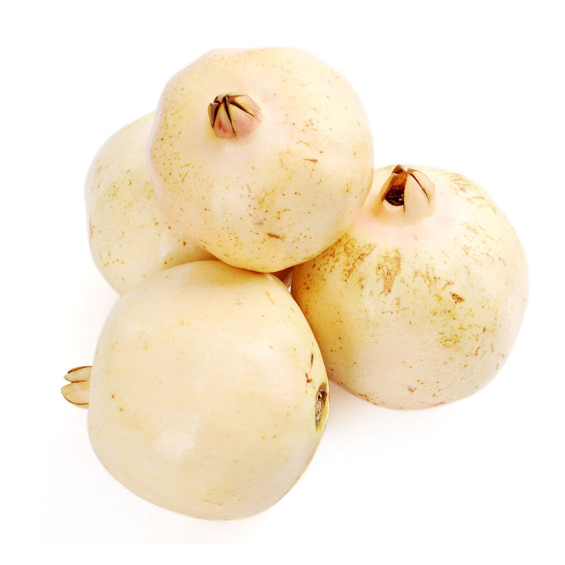 石榴三白树苗果树白皮白花白花白籽甜当年挂果果树