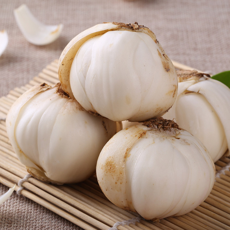 百合农家蔬菜天然食用自种产地新鲜兰州甘肃新鲜百合