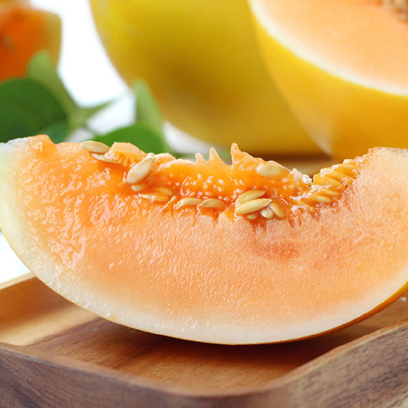 蜜瓜果林外传陕西黄皮9斤黄河应季水果进口哈密瓜