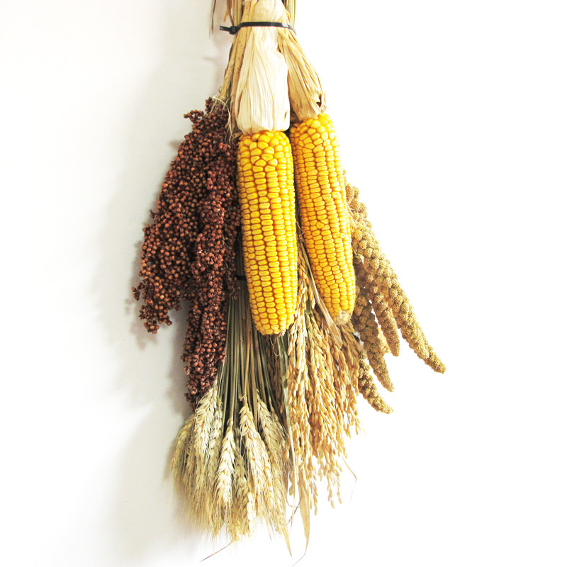 农作物挂件五谷杂粮装饰品农家乐饭店挂串玉米小麦穗粮食仿真果蔬