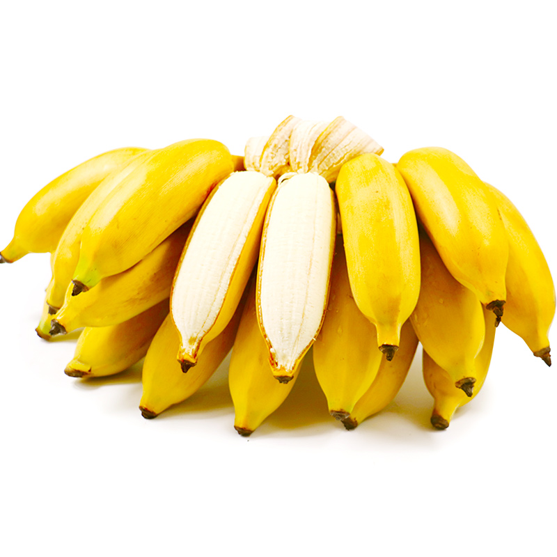 广西小米米蕉当季水果新鲜10斤自然banana整箱香蕉