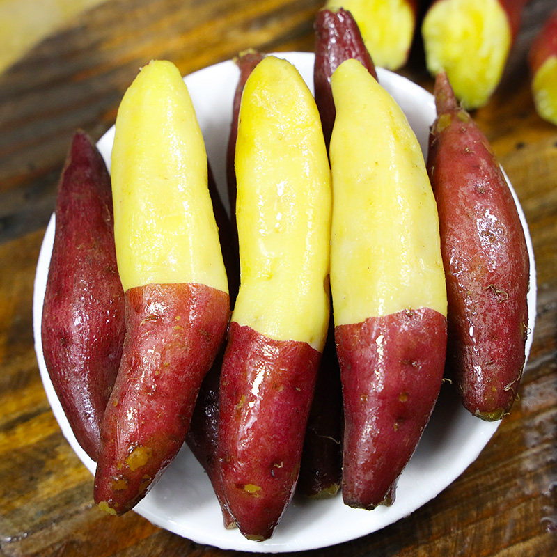 临安天目山小香薯5斤新鲜红薯正宗板栗小番薯10地瓜蜜山芋蕃薯甜