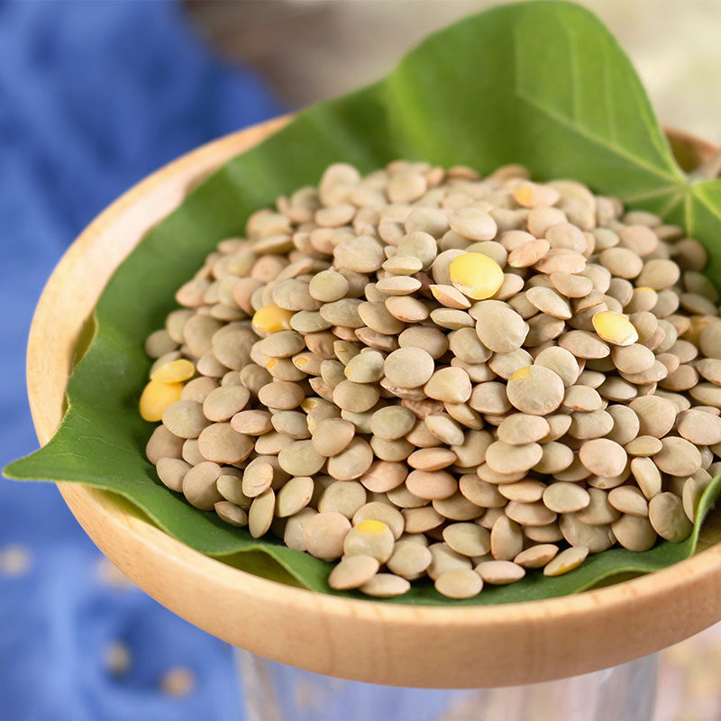小扁豆5斤五谷杂粮绿扁豆lentils脂甘肃兵豆特产扁豆减可生豆芽