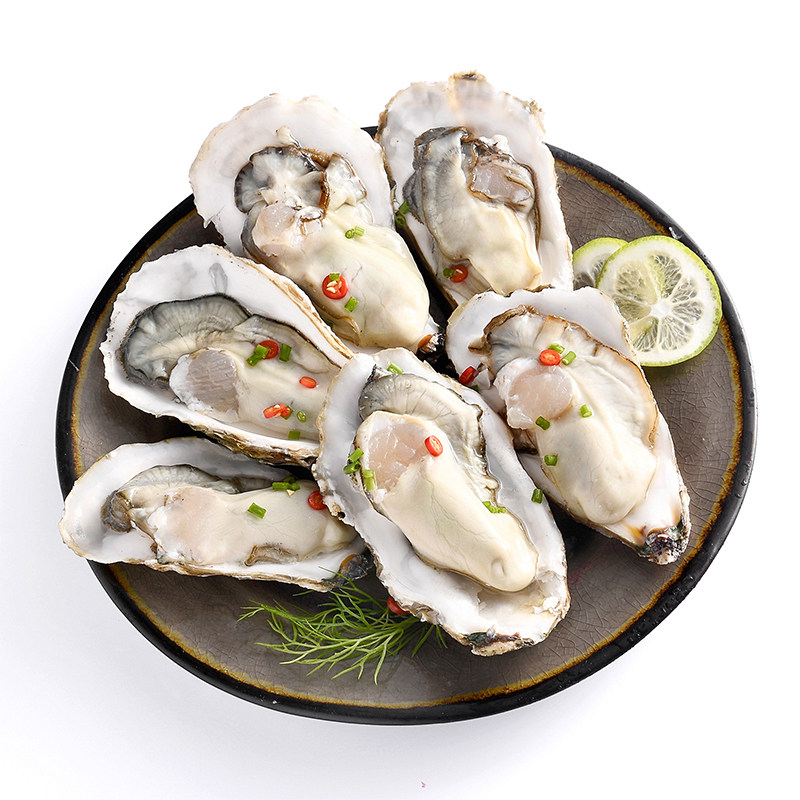 海图腾乳山生蚝鲜活10斤特大即食贝壳牡蛎新鲜海鲜水产海蛎子5斤