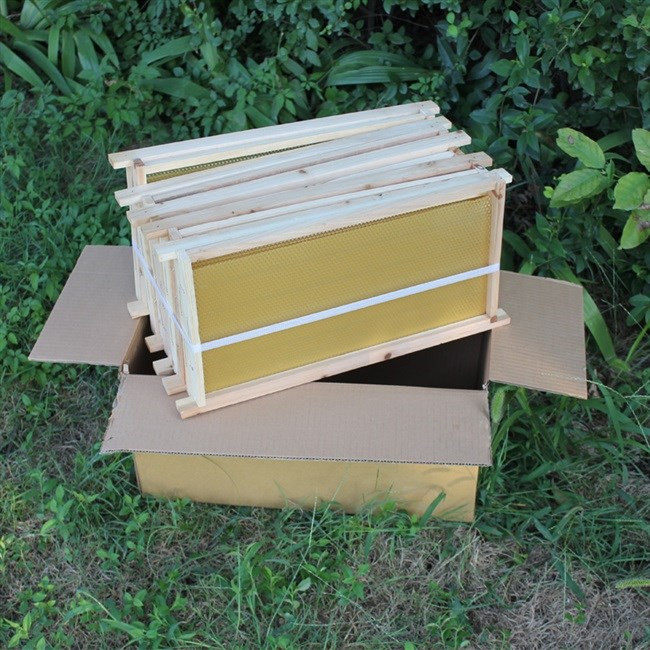 中蜂带框巢础成品巢框拉钢丝组装好蜂脾巢基巢皮蜂列子架