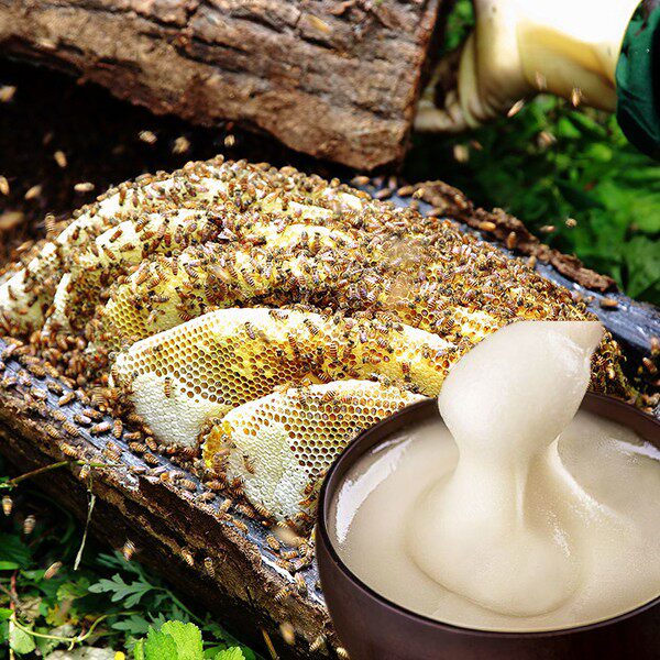 蜂蜜智仁500克瓶装结晶成熟山野百花花酿固态蜂蜜