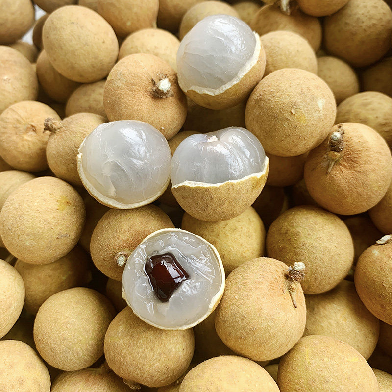 龙眼桂圆水果泰国进口新鲜现摘热带当季稀有龙眼