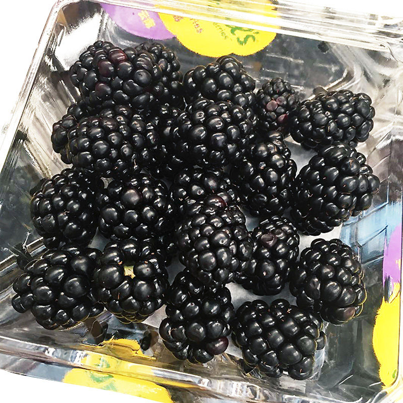 黑莓新鲜鲜果盒装水果覆盆盆子黑树树莓果桑其它