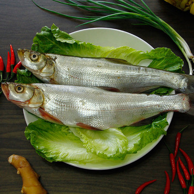 湖北大白白条翘嘴净膛500g1斤2份淡水鱼类