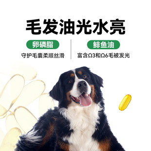 【试吃】帕特旗舰店果蔬犬粮试吃200g