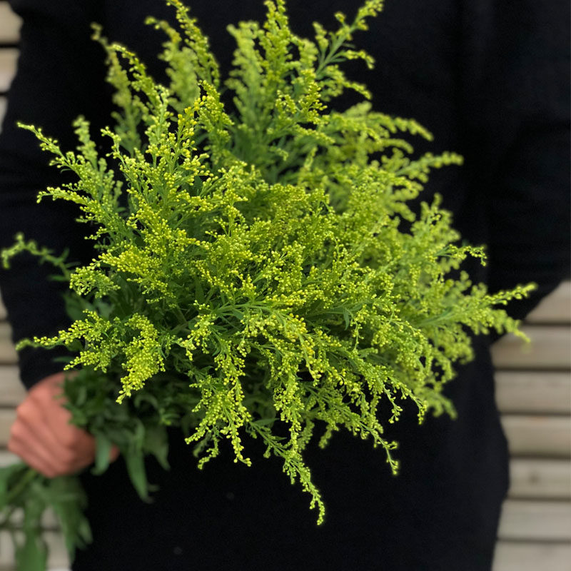 昆明明基地直发鲜花黄英配花配搭配混搭花束鲜花速递(同城)