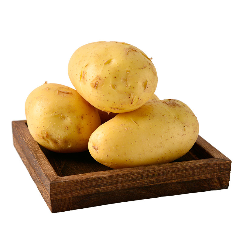 土豆新鲜黄心新土豆精品马铃薯洋芋现挖现发农家种植蔬菜5斤包邮