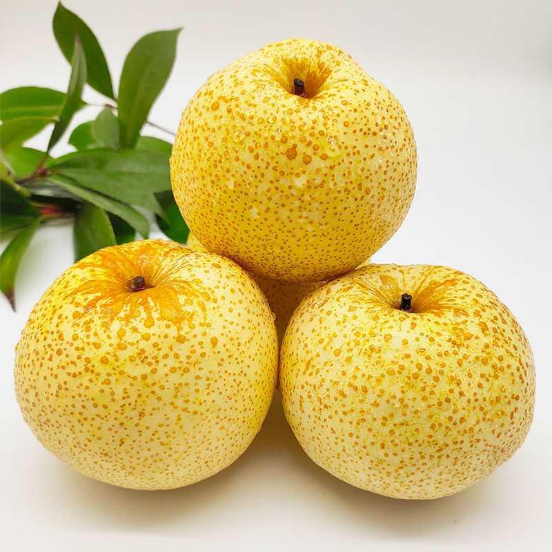 安徽砀山梨子新鲜水果10斤整箱雪梨梨