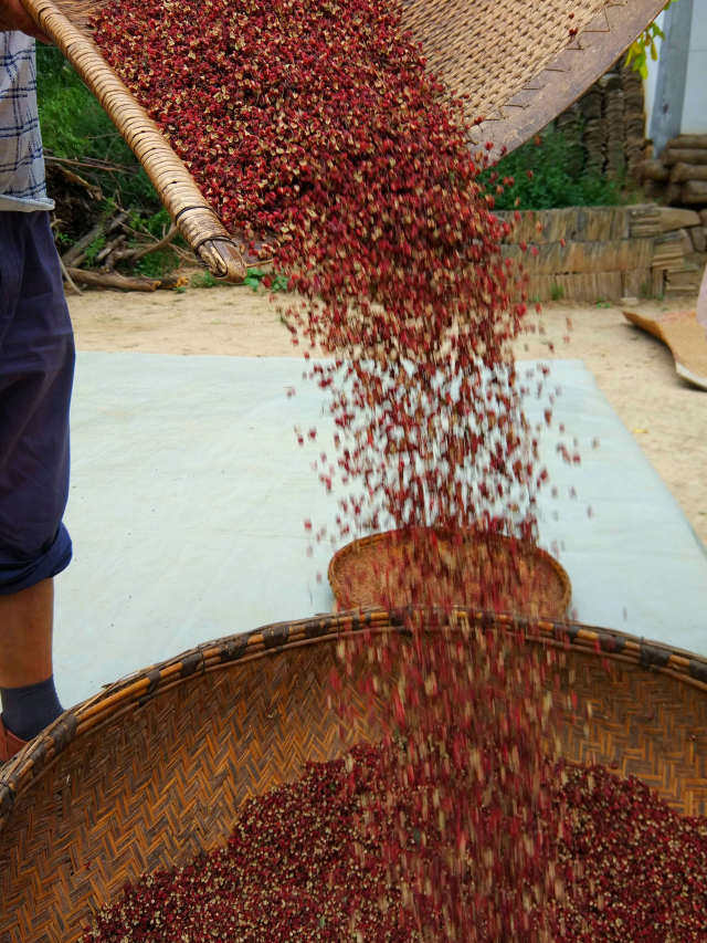 陕西省韩城花椒大红红袍产品特产纯天然无添加自家花椒
