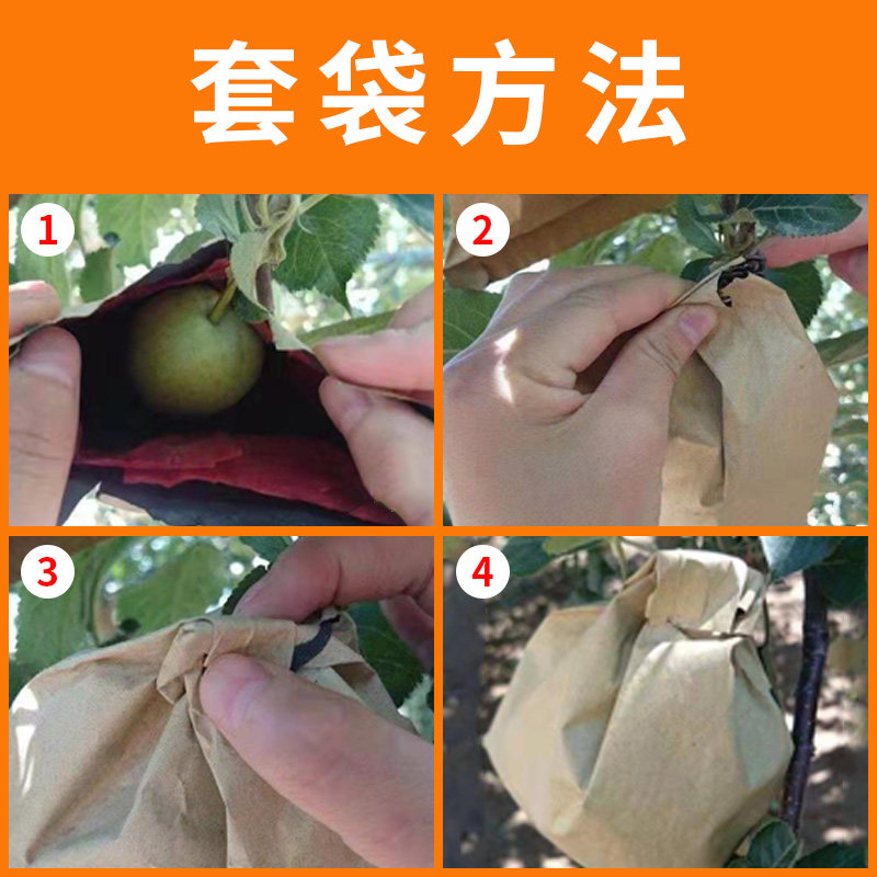 套袋专用水果柚子沙田柚蜜柚葡萄柚袋防鸟防水果套袋