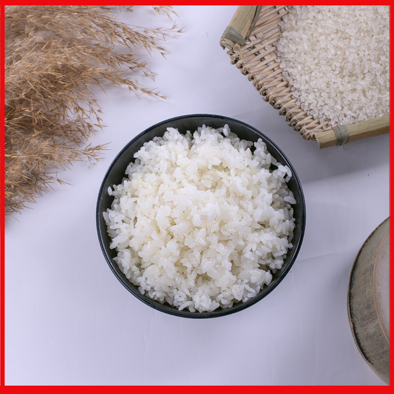 大叔2021年黑龙江五常长粒香蟹田米大米一斤500g大米