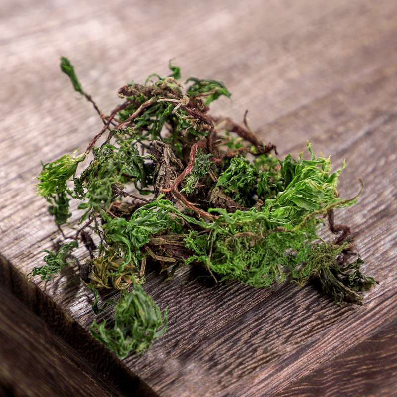 回心泡茶正品新鲜散装泡水中药野生特级中药材其他药食同源食品