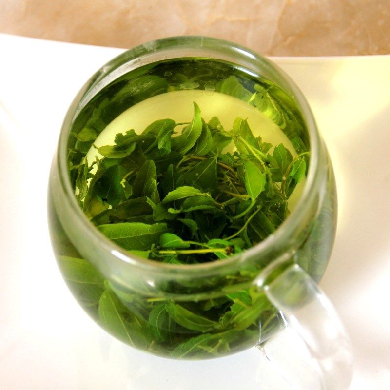 酸枣枣叶叶茶非野生泰山叶牙茶睡眠芽茶茶山嫩芽山养生茶