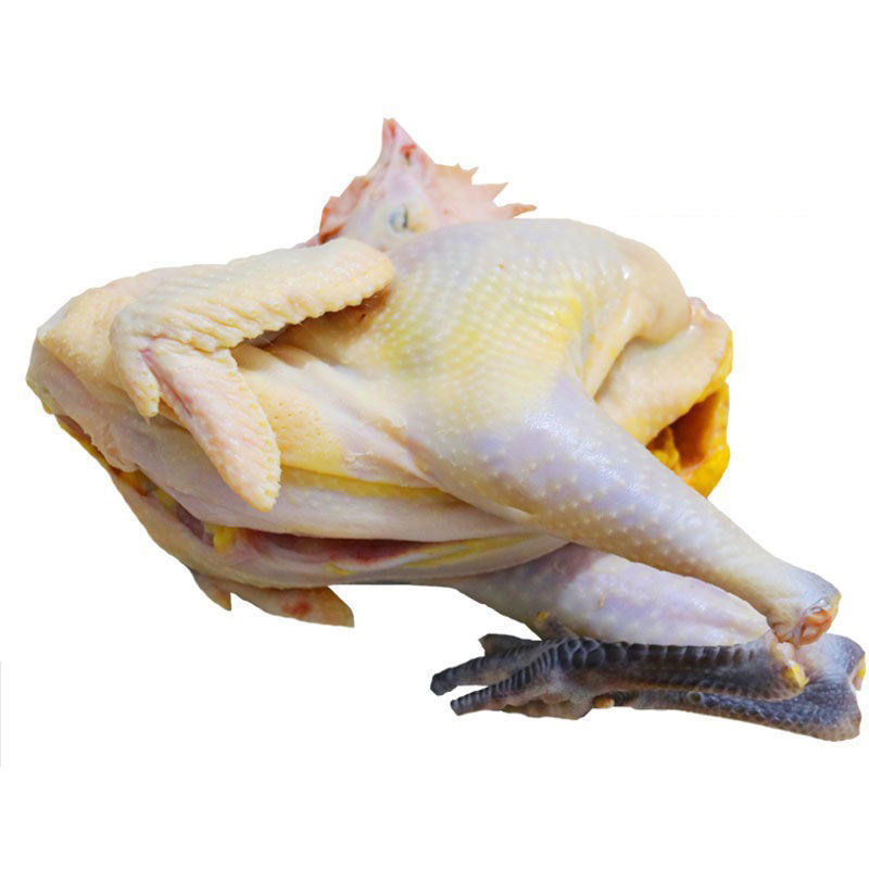 【一只黑脚老母鸡】散养900天正宗草鸡柴鸡月子鸡走地鸡土鸡煲汤