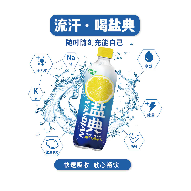 康之味 盐典 专业等渗运动饮料 458ml*9瓶