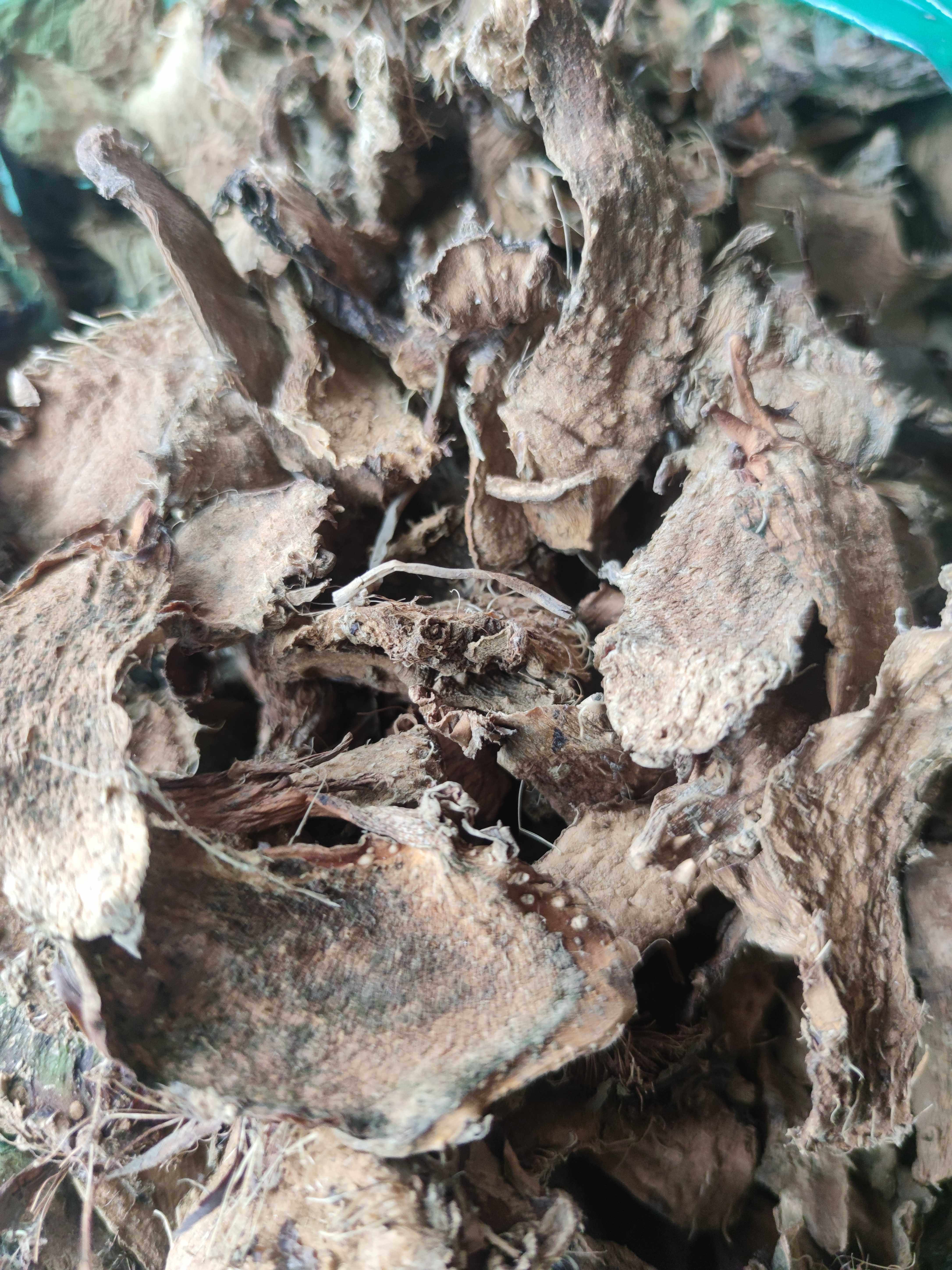 簕茨野生干品新货水刺芋水莲藕500克农技服务