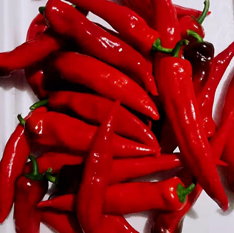 新鲜特辣红辣椒红色小辣椒辣妹子椒酱薄皮剁椒现摘辣椒