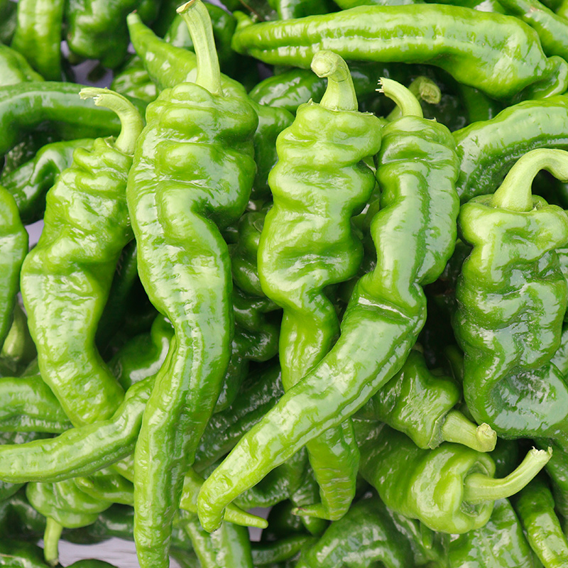 新鲜螺丝椒陇皱皮辣椒新一代农家蔬菜当季整箱辣椒
