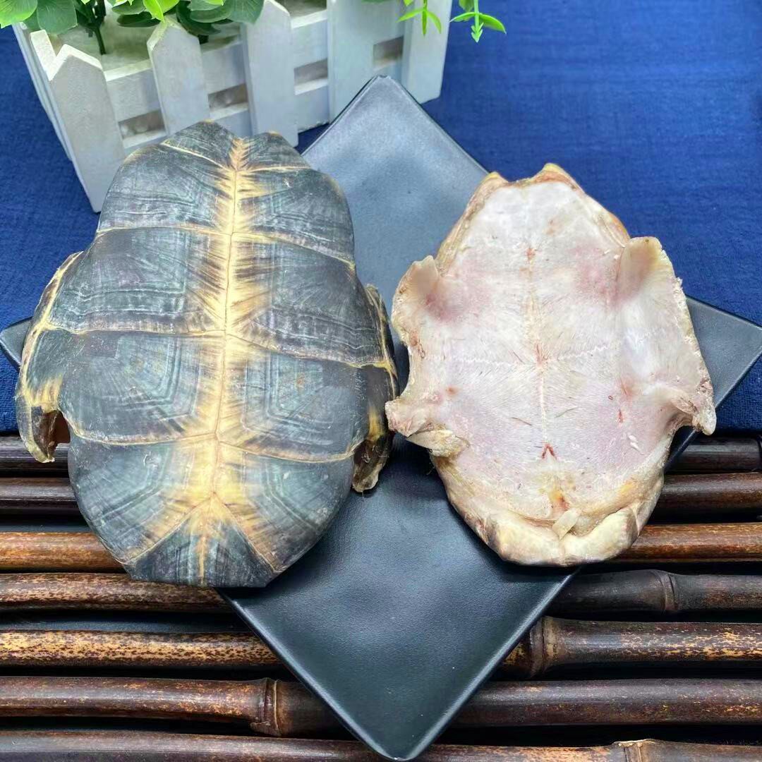 龟板500g散装生龟板片龟壳龟下甲龟底板非醋其他药食同源食品