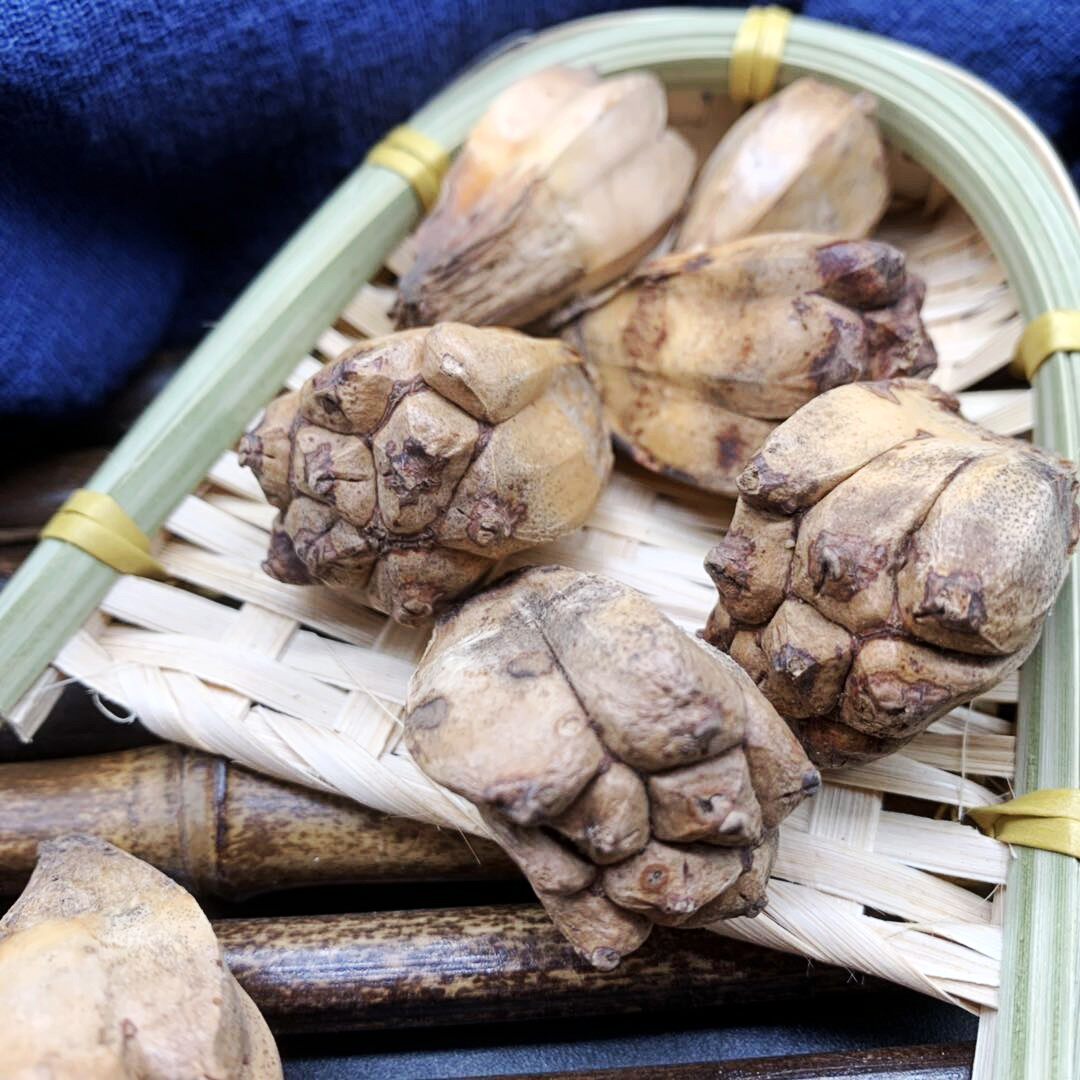 菠萝兜树花露莲花滴血假菠罗滴血中药材野生散装其他药食同源食品